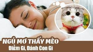 Nhìn thấy mèo đánh con gì? Giải mã giấc mơ thấy mèo chi tiết