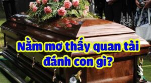 Mơ nhìn thấy quan tài đánh con gì? Bật mí số tài lộc