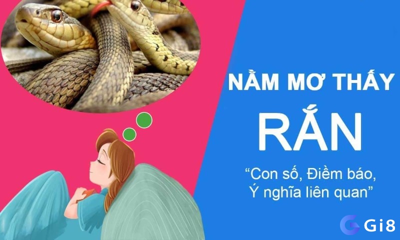 Giải mã mơ nhìn thấy rắn đánh đề con gì cùng Gi8 nhé! 