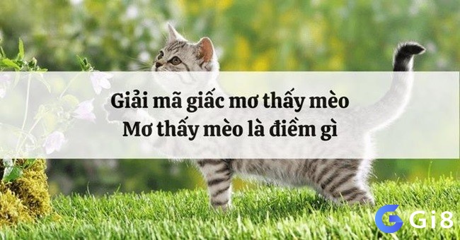 Chiêm bao thấy mèo cho thấy bạn luôn muốn thể hiện bản thân trước mặt người khác