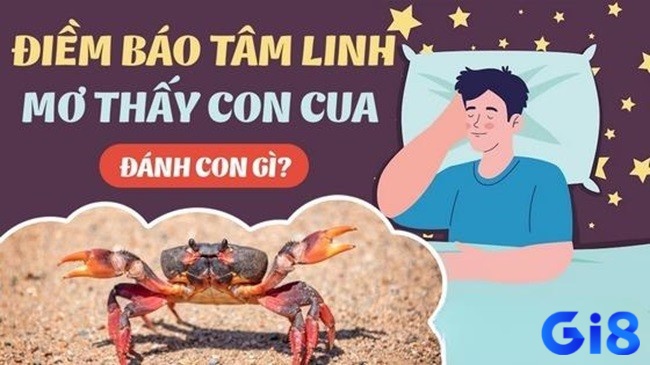 Ngủ mơ thấy cua đánh đề con gì dễ gặp may mắn