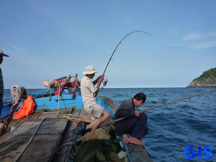 Thông qua giải mã để tiên đoán chuyện sắp tới 